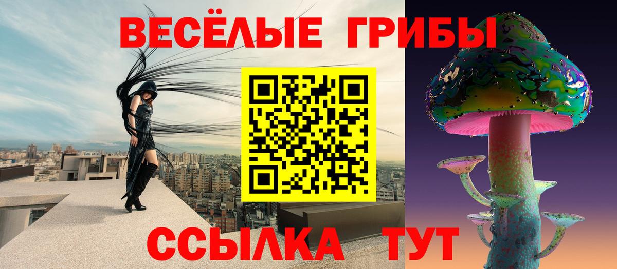 Псилоцибиновые грибы мухоморы Комсомольск-на-Амуре
